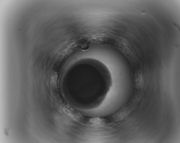 X0000102240231200808011255