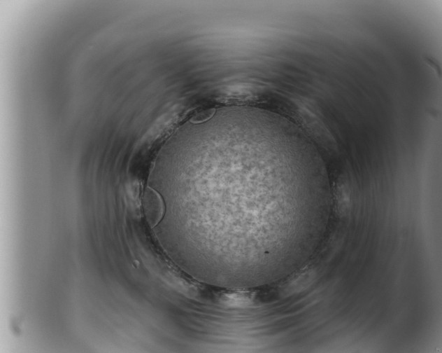 X0000102240232200808011255