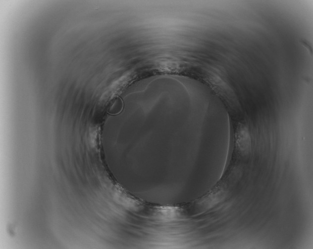 X0000102240233200808011255