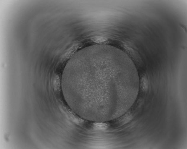 X0000102240234200808011255