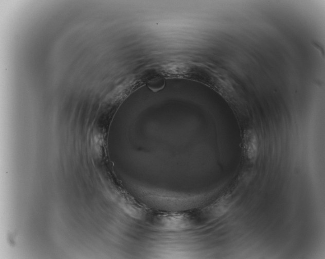 X0000102240235200808011255