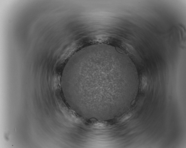 X0000102240236200808011255