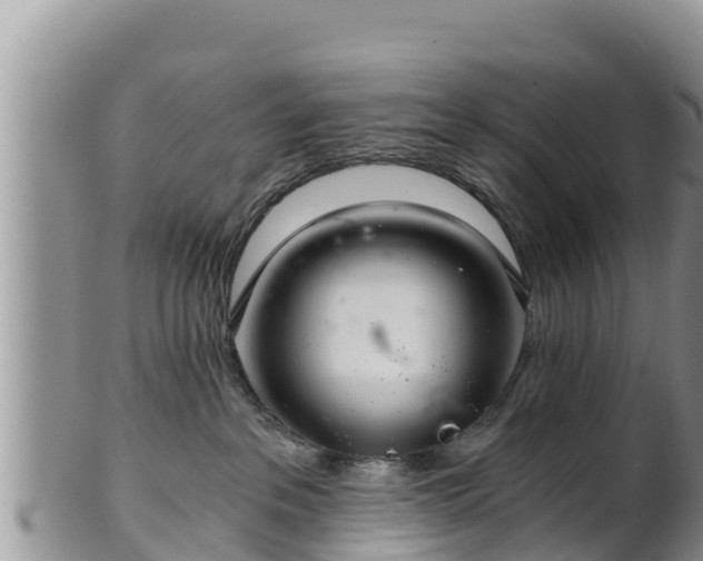 X0000102240237200808011255