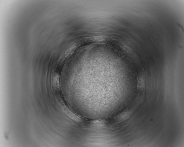 X0000102240238200808011255