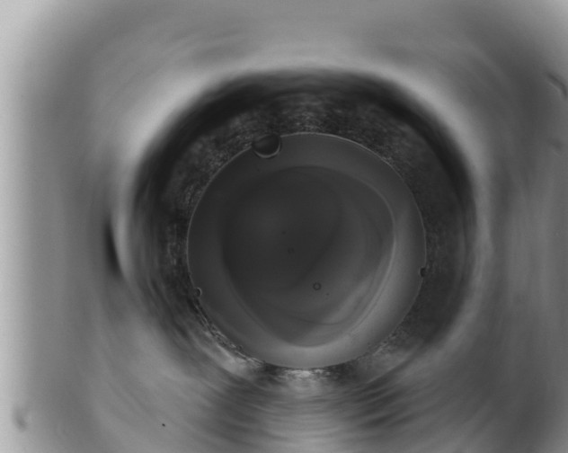 X0000102240239200808011255