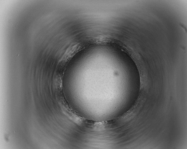 X0000102240240200808011255