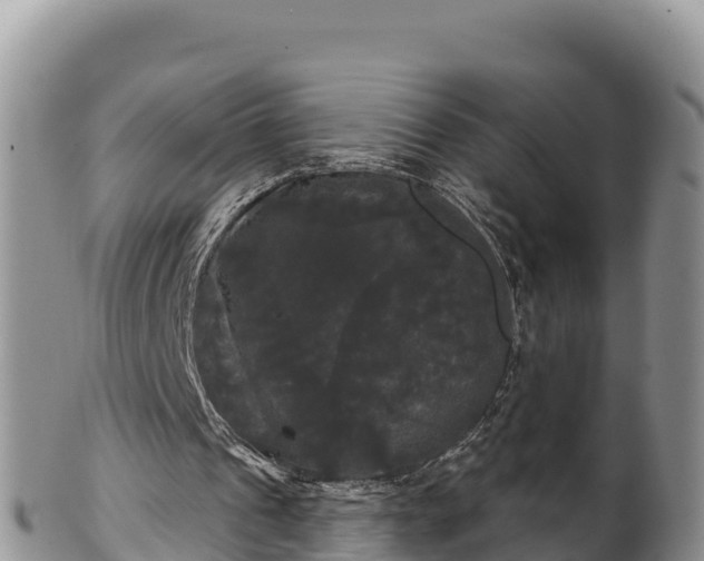 X0000102240241200808011254