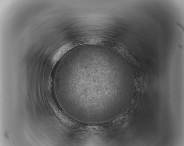 X0000102240242200808011254