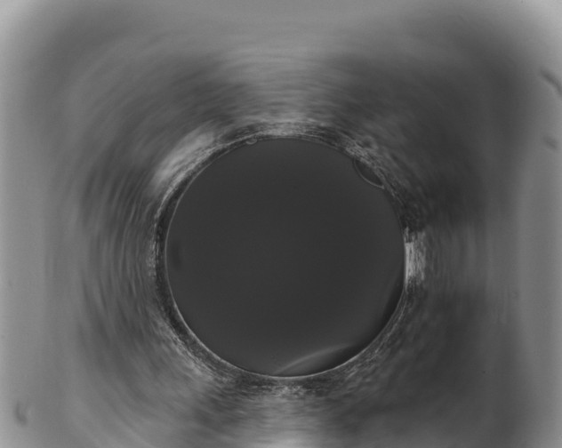 X0000102240243200808011254