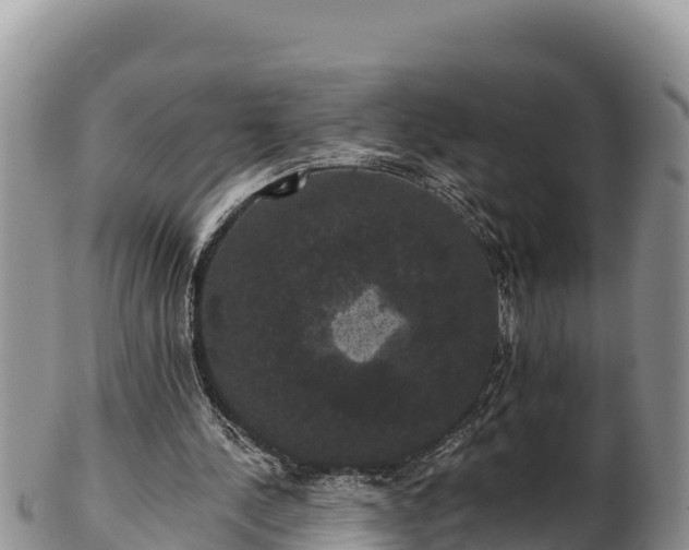 X0000102240244200808011254