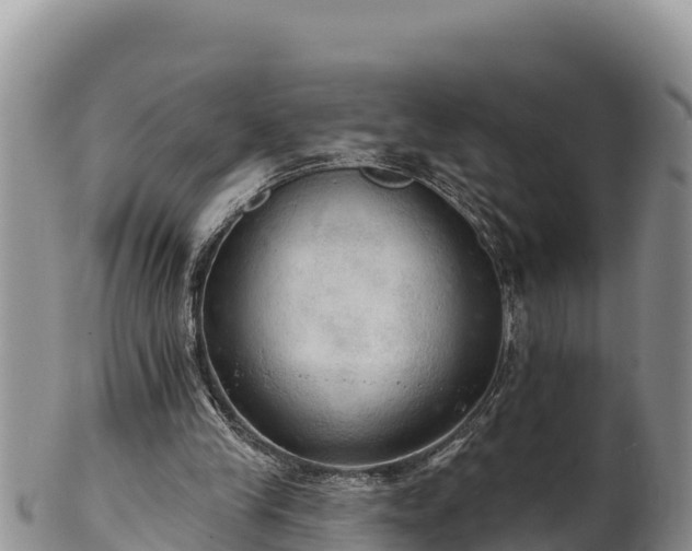 X0000102240245200808011254