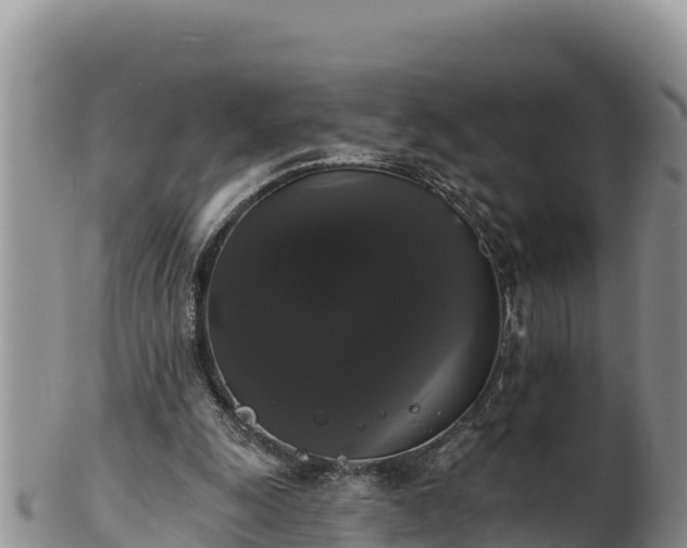 X0000102240247200808011254