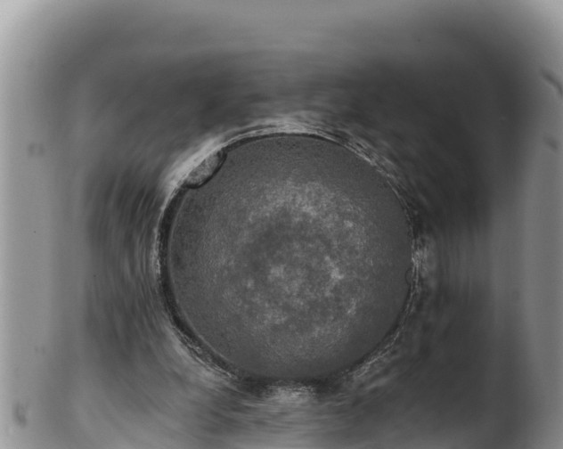 X0000102240248200808011254