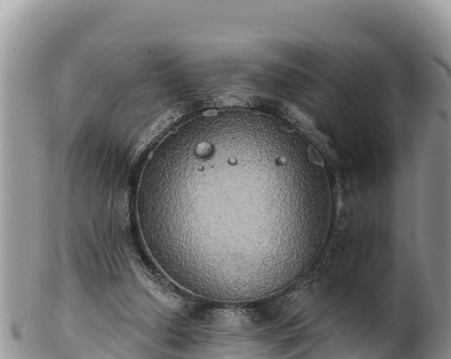 X0000102240250200808011254