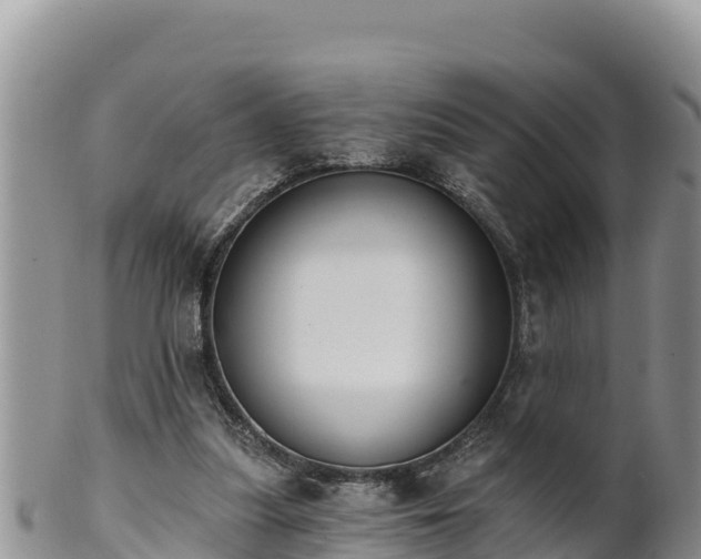 X0000102240251200808011254