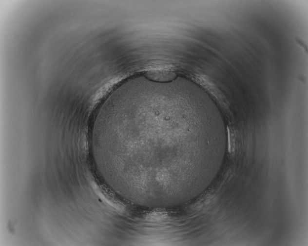 X0000102240252200808011254