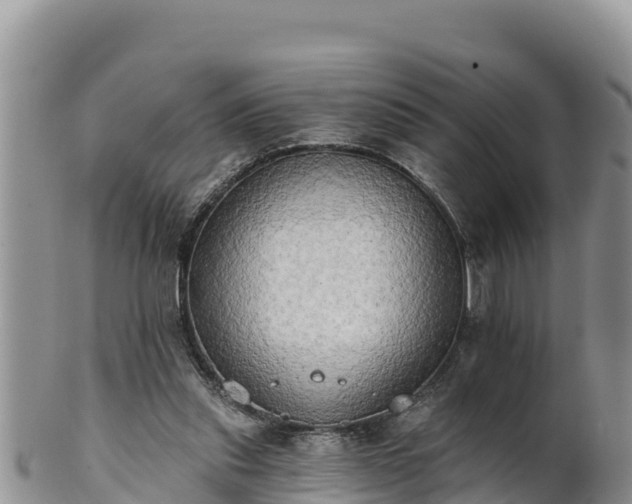 X0000102240253200808011254