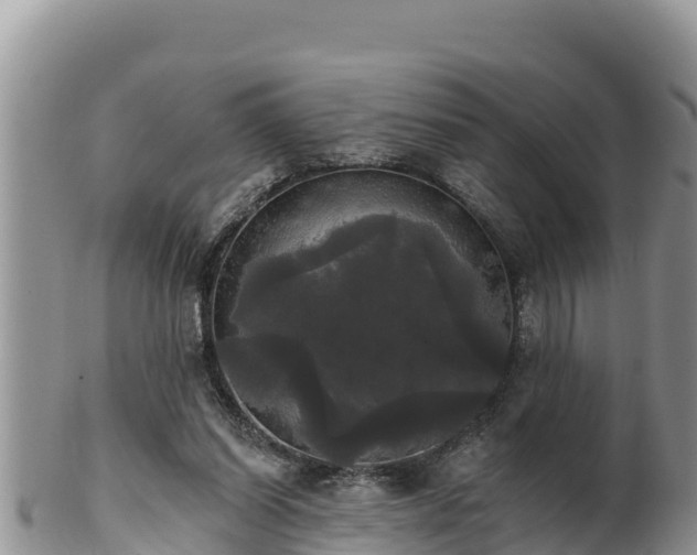 X0000102240254200808011254