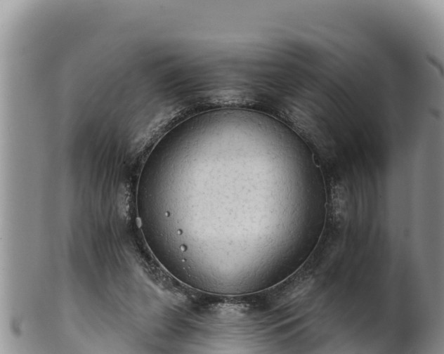 X0000102240255200808011254