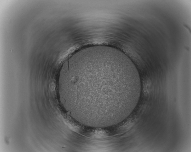 X0000102240256200808011254