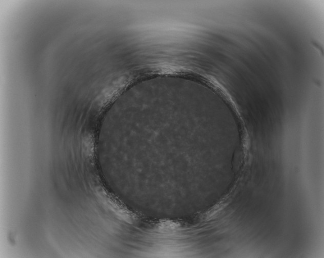 X0000102240257200808011254