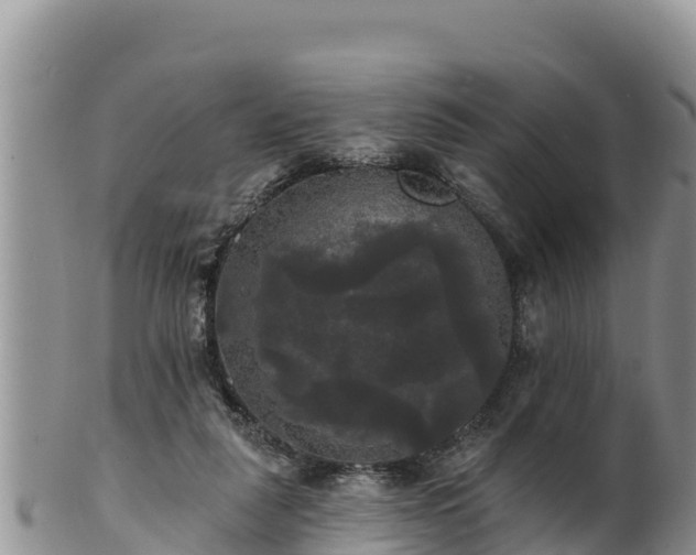 X0000102240259200808011254