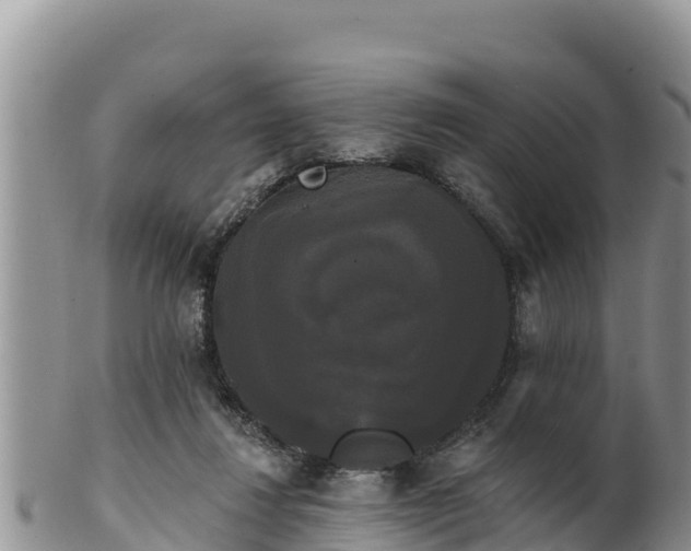 X0000102240260200808011254