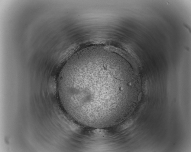 X0000102240261200808011254