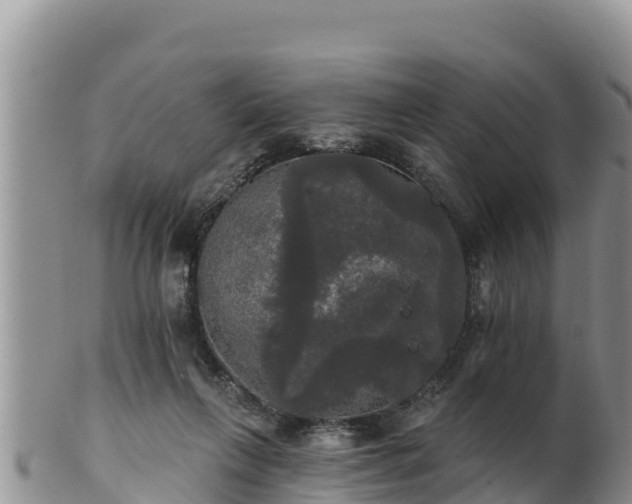 X0000102240263200808011254