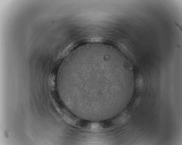 X0000102240264200808011254