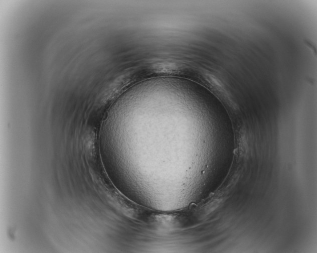 X0000102240265200808011254