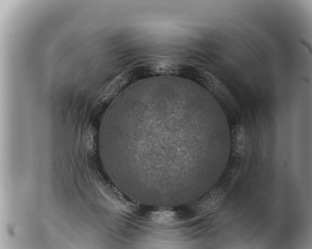 X0000102240266200808011255