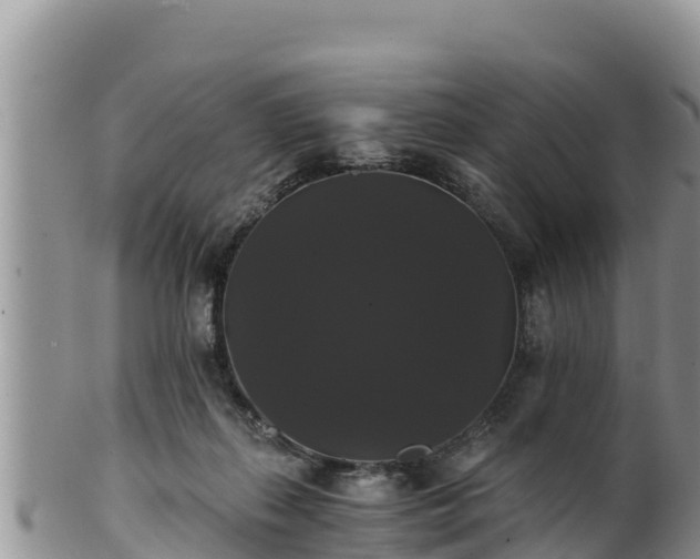 X0000102240267200808011255