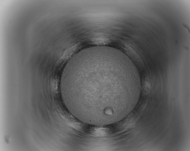 X0000102240268200808011255