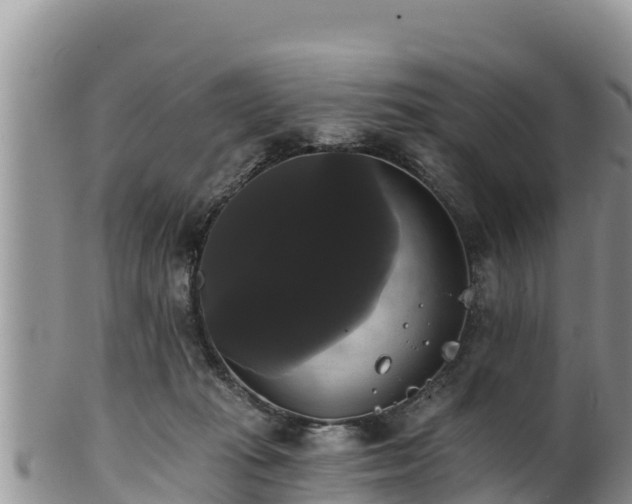 X0000102240269200808011255