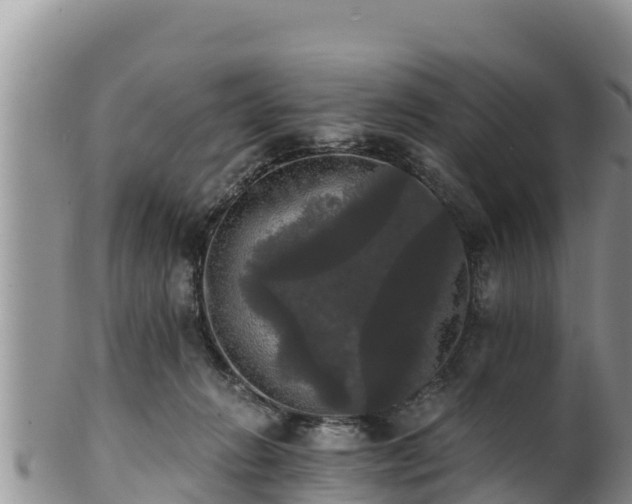 X0000102240270200808011255