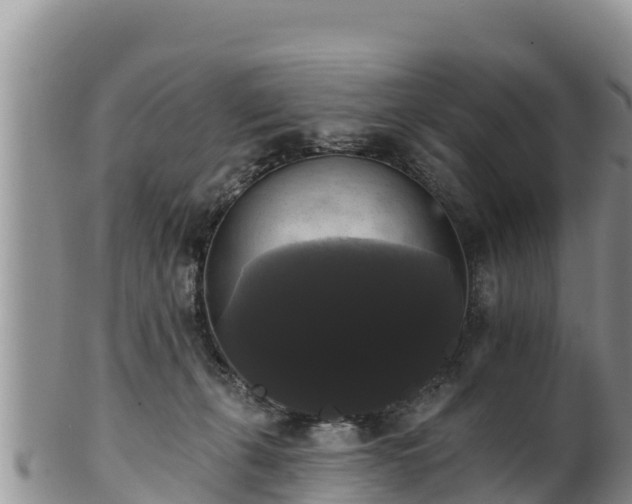 X0000102240271200808011255