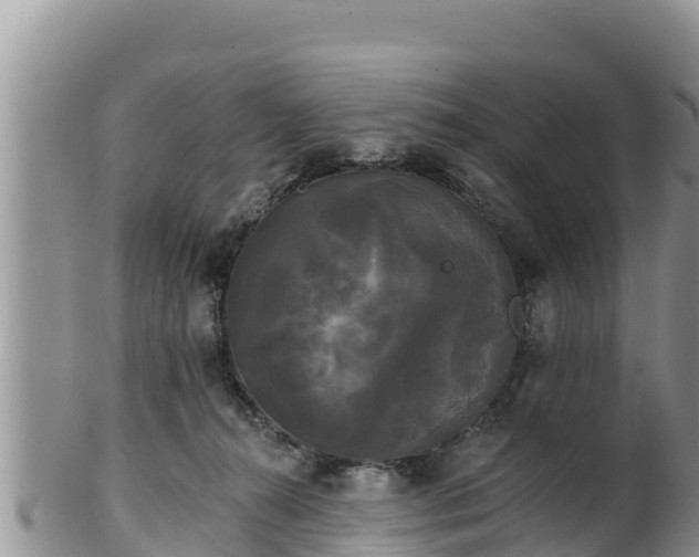 X0000102240272200808011255