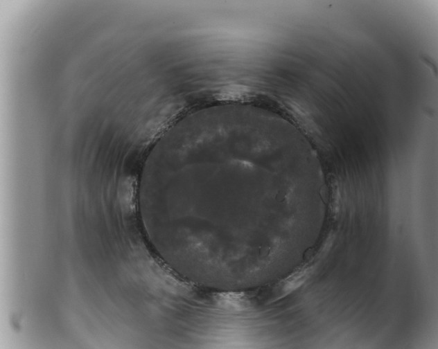 X0000102240273200808011255