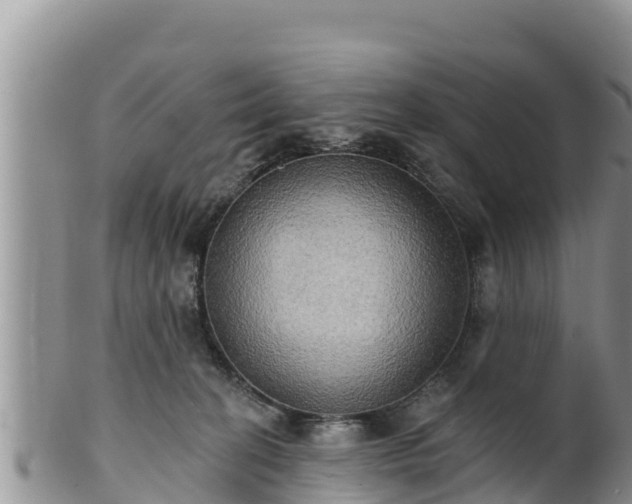 X0000102240274200808011255