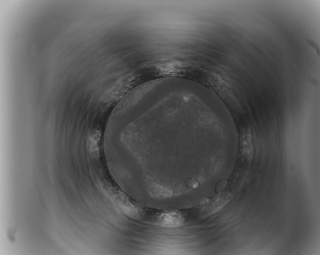 X0000102240275200808011255