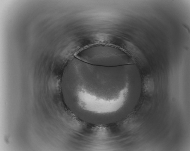 X0000102240276200808011255