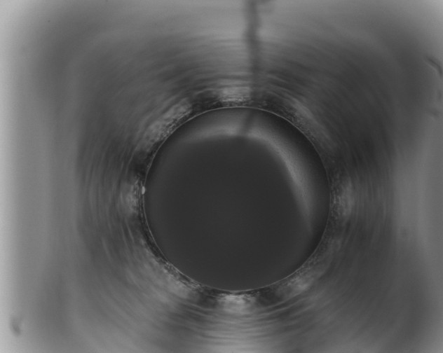 X0000102240277200808011255