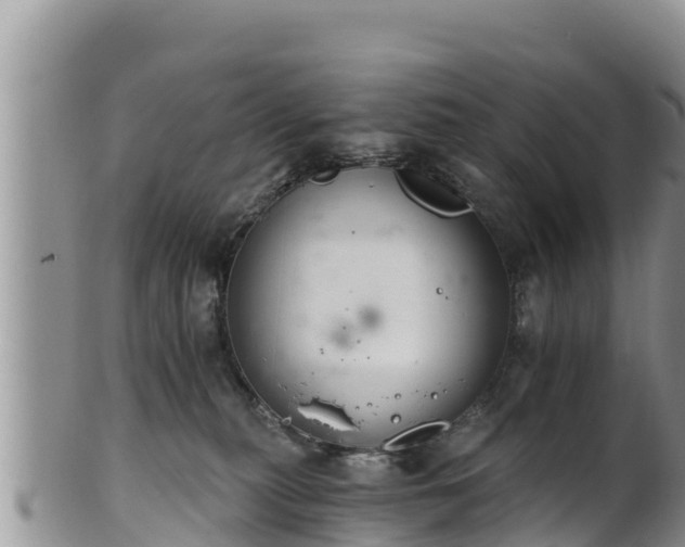 X0000102240279200808011255