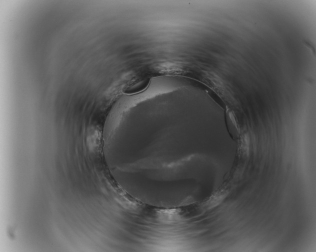 X0000102240281200808011255