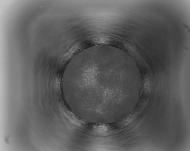 X0000102240282200808011255