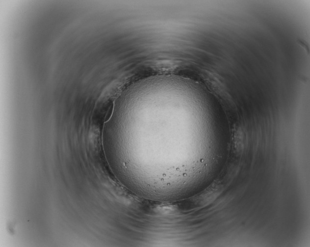 X0000102240283200808011255