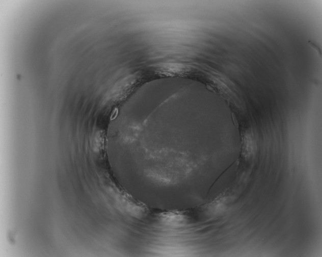 X0000102240284200808011255