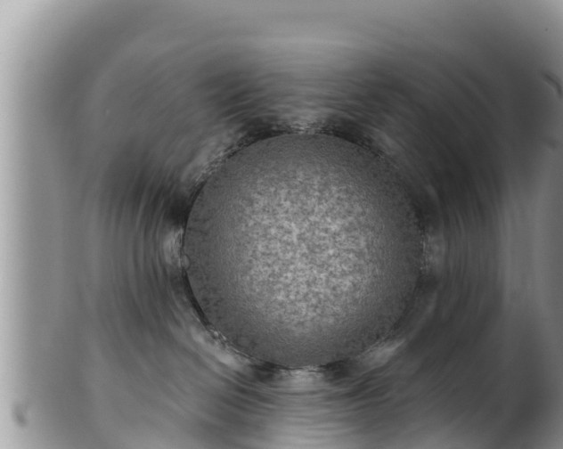 X0000102240286200808011255