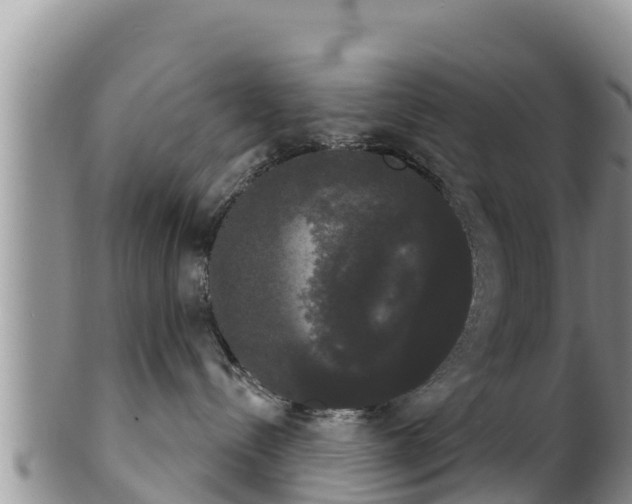 X0000102240288200808011255